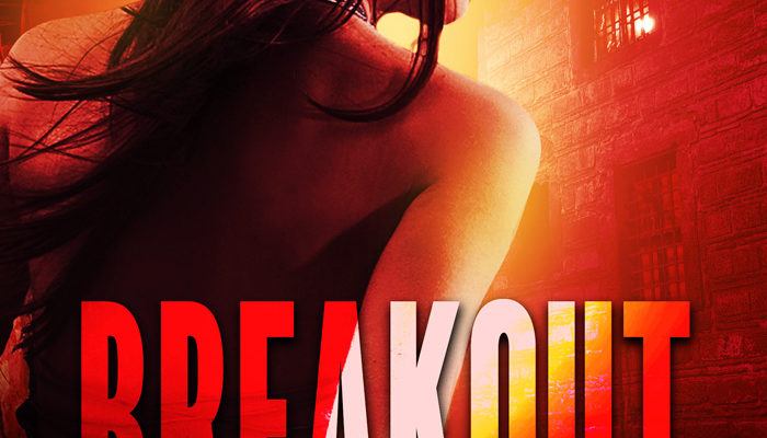 premade book covers thriller