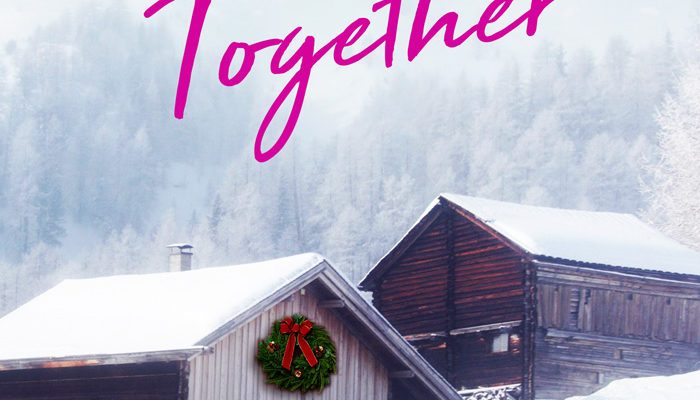 premade book covers winter romance