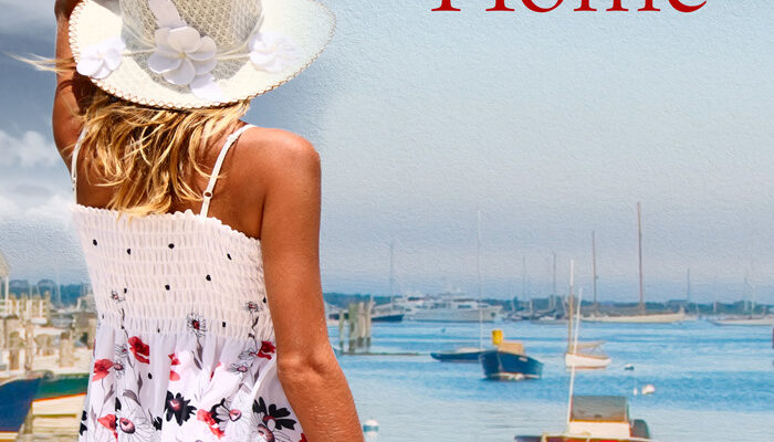 premade book covers island romance